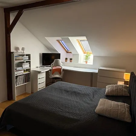 Apartamento V Sirsom Centre Martina Sever Martin