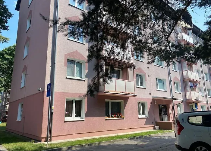 V Sirsom Centre Martina Sever * 马汀