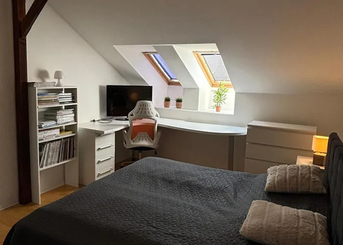 公寓 V Sirsom Centre Martina Sever 马汀